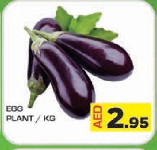available at سنابل بني ياس in الإمارات العربية المتحدة , الامارات - أم القيوين‎