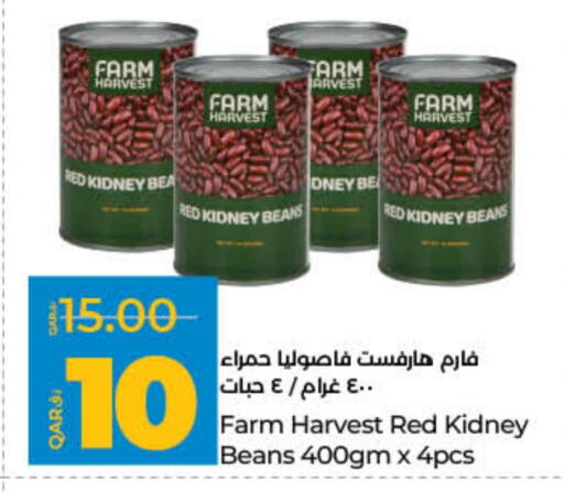 Canned & Packeted in LuLu Hypermarket, Qatar Offers - Qatar available at LuLu Hypermarket in Qatar - Al Rayyan