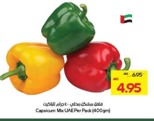 Chilli / Capsicum available at ADCOOP in UAE - Al Ain