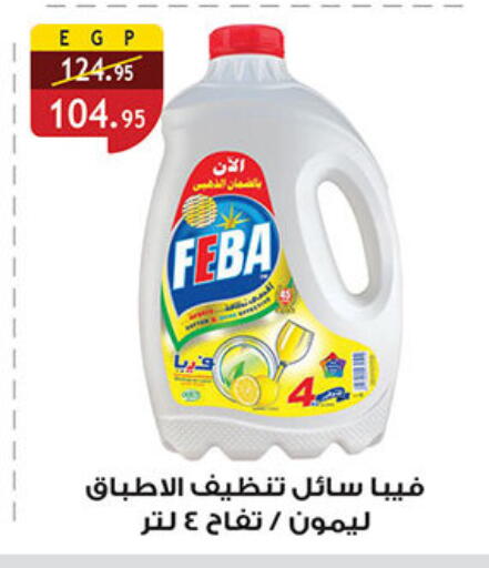 available at الرايه  ماركت in Egypt - القاهرة