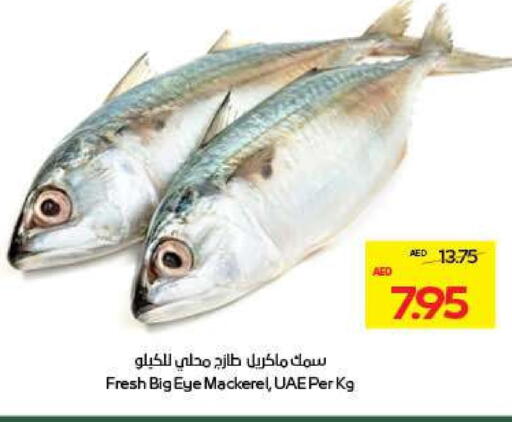 available at ميغا مارت سوبر ماركت in الإمارات العربية المتحدة , الامارات - ٱلْعَيْن‎
