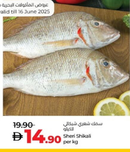 available at لولو هايبرماركت in الإمارات العربية المتحدة , الامارات - ٱلْعَيْن‎