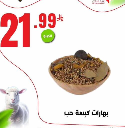 Spices available at Bin Afif Bazaar in KSA, Saudi Arabia, Saudi - Dammam