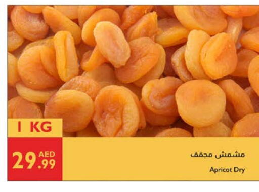 Apricot available at Istanbul Supermarket in UAE - Abu Dhabi