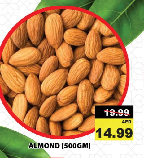 available at ليبتس هايبرماركت in الإمارات العربية المتحدة , الامارات - رَأْس ٱلْخَيْمَة