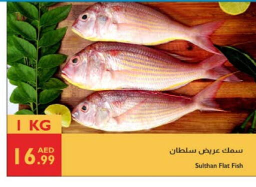 available at Istanbul Supermarket in UAE - Abu Dhabi