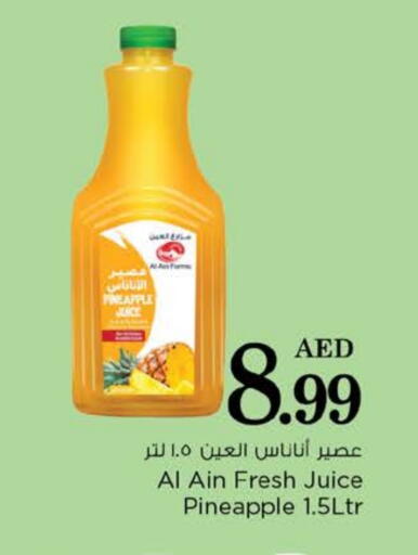 Pineapple available at Nesto Hypermarket in UAE - Umm al Quwain