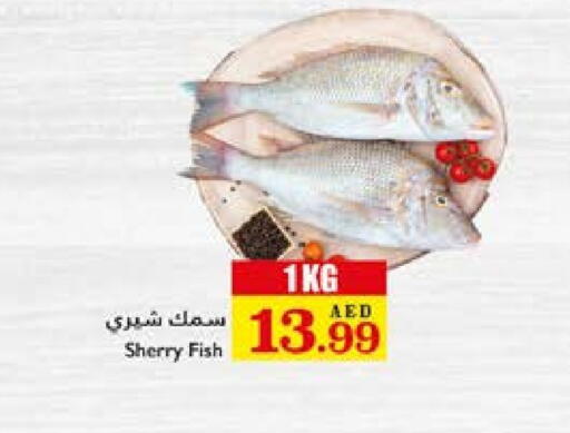 available at Trolleys Supermarket in UAE - Sharjah / Ajman