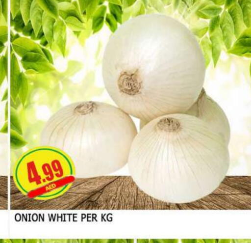 بصل أبيض available at المدينة in الإمارات العربية المتحدة , الامارات - الشارقة / عجمان