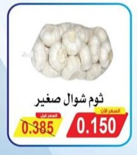 Garlic available at Salwa Co-Operative Society  in Kuwait - Ahmadi Governorate