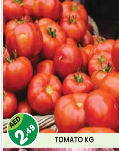 Tomato available at Baniyas Spike  in UAE - Abu Dhabi