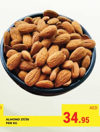 available at كيرالا هايبرماركت in الإمارات العربية المتحدة , الامارات - رَأْس ٱلْخَيْمَة