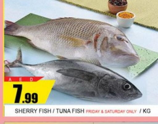 Tuna available at Lucky Center in UAE - Sharjah / Ajman