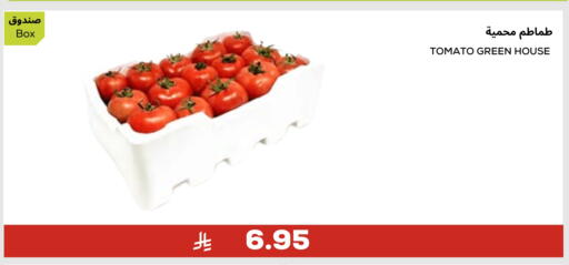 Tomato available at Astra Markets in KSA, Saudi Arabia, Saudi - Tabuk