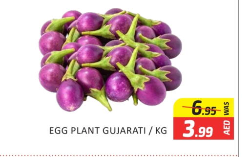 الخضروات الطازجة in المدينة, UAE Offers - الإمارات العربية المتحدة available at المدينة in الإمارات العربية المتحدة , الامارات - دبي
