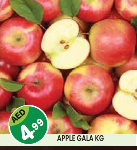 Apples available at Baniyas Spike  in UAE - Abu Dhabi