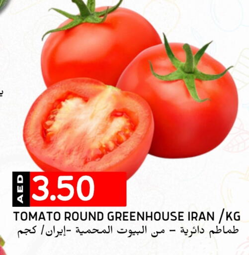 Tomato from Iran available at Select Market in UAE - Abu Dhabi