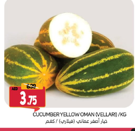 خيار from Oman available at سوق المبارك هايبرماركت in الإمارات العربية المتحدة , الامارات - الشارقة / عجمان