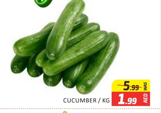الخضروات الطازجة in المدينة, UAE Offers - الإمارات العربية المتحدة خيار available at المدينة in الإمارات العربية المتحدة , الامارات - دبي