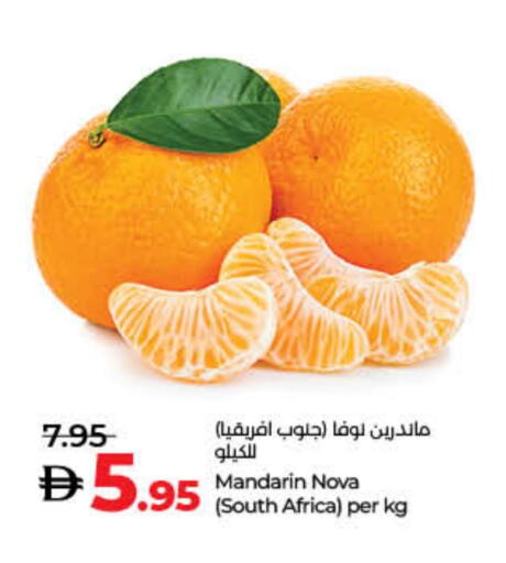 Orange from South Africa available at Lulu Hypermarket in UAE - Umm al Quwain