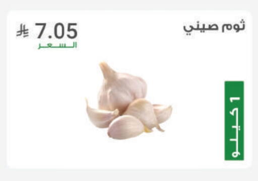 الخضروات الطازجة in أسواق الرشيد, المملكة العربية السعودية Offers - المملكة العربية السعودية ثوم available at أسواق الرشيد in مملكة العربية السعودية, السعودية, سعودية - الرياض