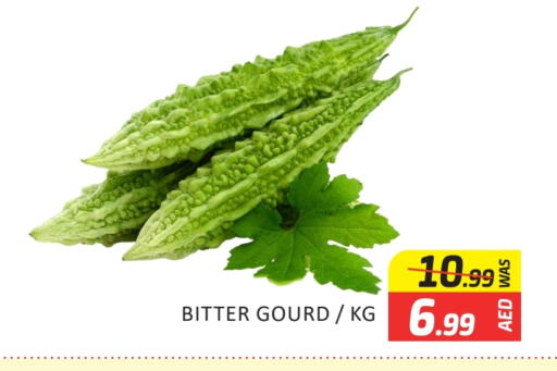 الخضروات الطازجة in المدينة, UAE Offers - الإمارات العربية المتحدة قرع available at المدينة in الإمارات العربية المتحدة , الامارات - دبي