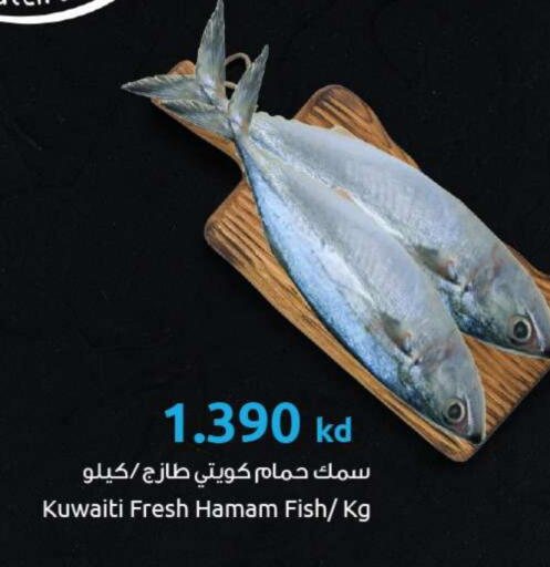 available at The Sultan Center in Kuwait - Ahmadi Governorate
