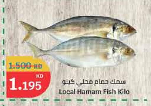 available at City Hypermarket in Kuwait - Ahmadi Governorate