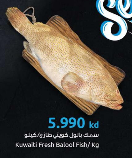 available at The Sultan Center in Kuwait - Ahmadi Governorate