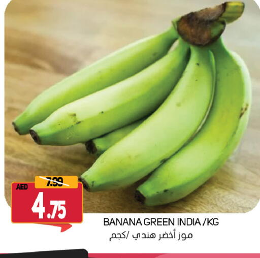 Banana from India available at سوق المبارك هايبرماركت in الإمارات العربية المتحدة , الامارات - الشارقة / عجمان