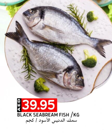 available at Select Market in UAE - Abu Dhabi