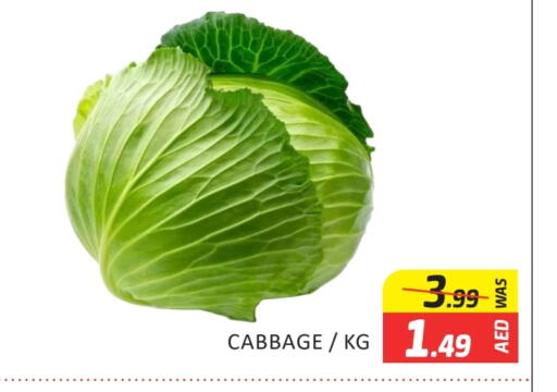 الخضروات الطازجة in المدينة, UAE Offers - الإمارات العربية المتحدة كرنب available at المدينة in الإمارات العربية المتحدة , الامارات - دبي