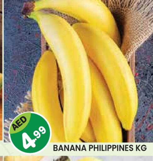 Banana from Philippines available at Baniyas Spike  in UAE - Abu Dhabi