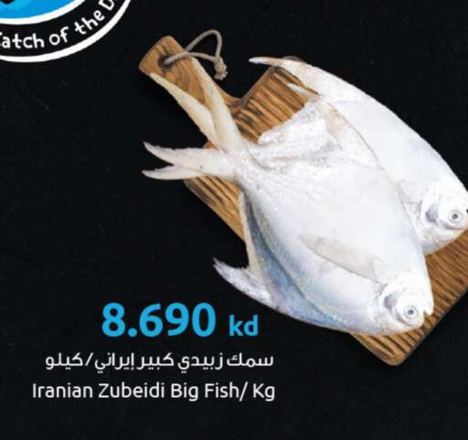available at The Sultan Center in Kuwait - Ahmadi Governorate