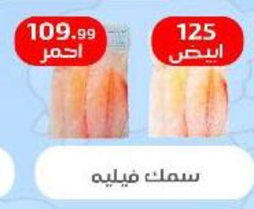 available at مؤسسة ايهاب البرنس in Egypt - القاهرة
