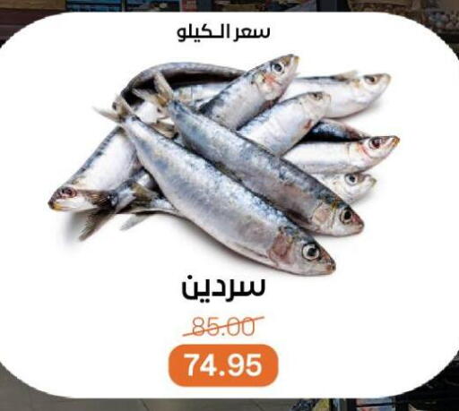 available at Beit El Gomla in Egypt - Cairo