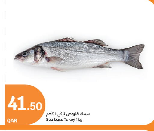 available at City Hypermarket in Qatar - Al-Shahaniya
