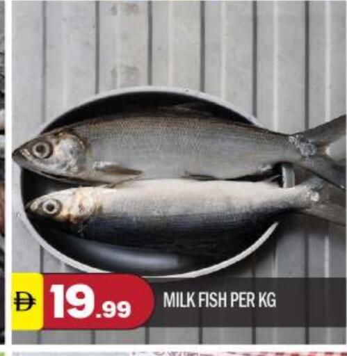 available at BIGmart in UAE - Abu Dhabi