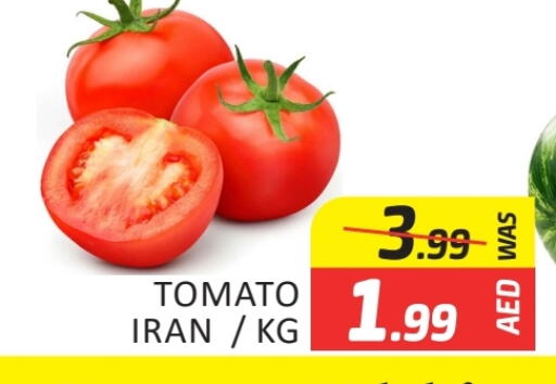 الخضروات الطازجة in المدينة, UAE Offers - الإمارات العربية المتحدة from Iran available at المدينة in الإمارات العربية المتحدة , الامارات - دبي