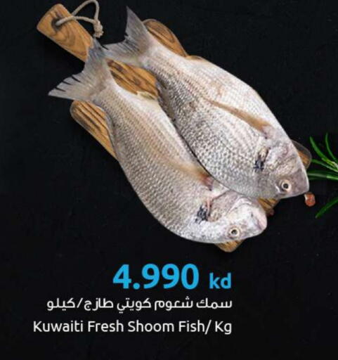 available at The Sultan Center in Kuwait - Ahmadi Governorate