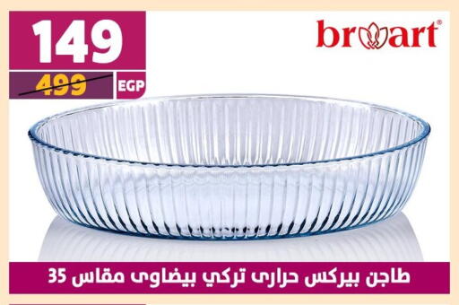 available at Shaheen Center in Egypt - Cairo