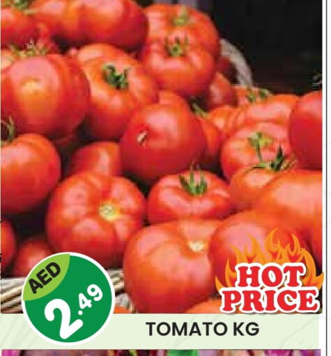 Tomato available at Baniyas Spike  in UAE - Abu Dhabi