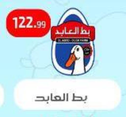 available at مؤسسة ايهاب البرنس in Egypt - القاهرة