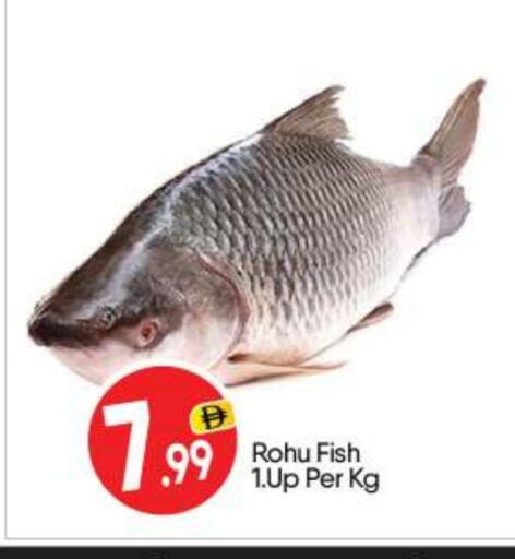 available at BIGmart in UAE - Abu Dhabi