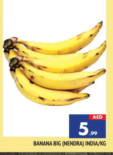 موز from India available at المدينة in الإمارات العربية المتحدة , الامارات - الشارقة / عجمان