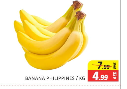 فاكهة طازجة in المدينة, UAE Offers - الإمارات العربية المتحدة موز from Philippines available at المدينة in الإمارات العربية المتحدة , الامارات - دبي
