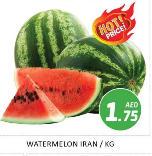 Watermelon from Iran available at Mango Hypermarket LLC in UAE - Dubai