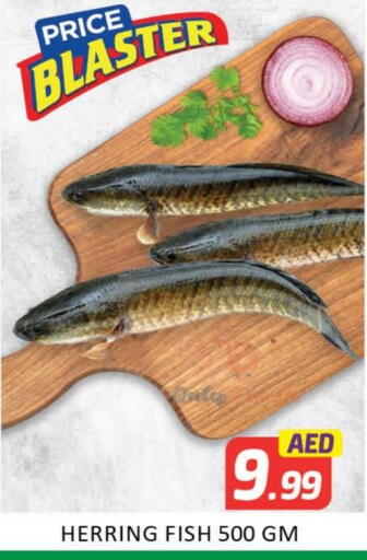 سمك مجمد in مانجو هايبرماركت, UAE Offers - الإمارات العربية المتحدة Mango available at مانجو هايبرماركت in الإمارات العربية المتحدة , الامارات - دبي