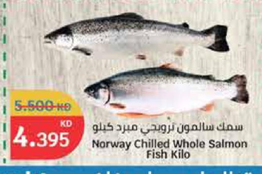 available at City Hypermarket in Kuwait - Ahmadi Governorate