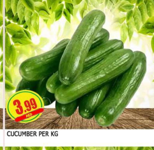 خيار available at المدينة in الإمارات العربية المتحدة , الامارات - الشارقة / عجمان
